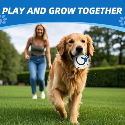 Glow in The Dark Dog Toys Ball, L, 3.94 in (10 cm) - color: Luminous, size: L 3.94 in (10 cm)