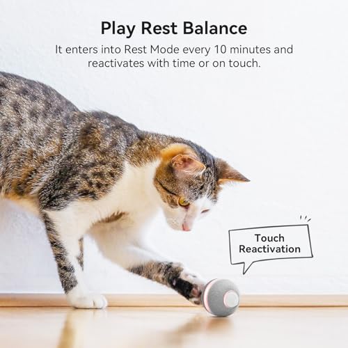 Cheerble Smart Interactive Cat Toy, Automatic Moving Bouncing Rolling Ball for Indoor Cat Kitten, Peppy Pet Ball with Lights and Bell, Grey - color: Grey
