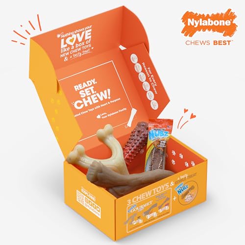 Nylabone Dog Gift Box, Strong Chew Toys & Treat, Large, 4 Count - size: Large (4 Count)