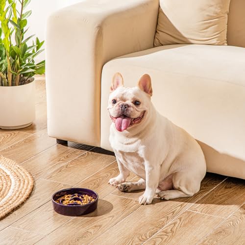 vancasso Slow Feeder Dog Bowl, 0.6 Cups Ceramic Small Puzzle Dog Food Dish - color: Dark Purple, size: S - 0.6 Cups