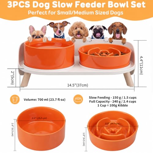 Elevated Slow Feeder Dog Bowls with Splash Proof Stand, Slow Eating 5X - color: Orange