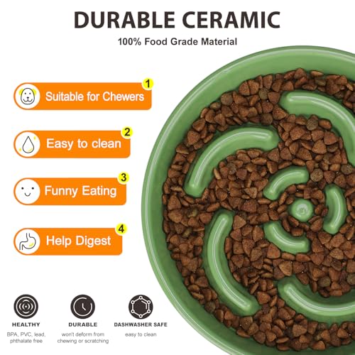 Ceramic Slow Feeder Dog Bowl, 2 Cups Maze Puzzle Dish to Slow Down Eating - color: Flower - Green