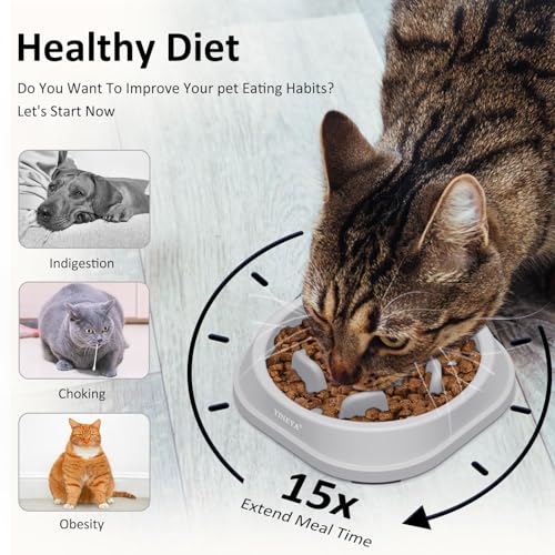 YINEYA 2PCS Anti-Choking Slow Feeder Dog Bowls Small Size Dog, Slow Feeder Cat Bowl, Supplies and Puzzle for Pet - color: B - Gray & Black, size: Small