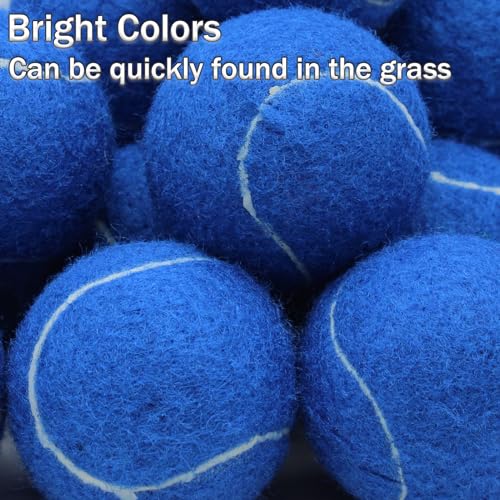 SHYUJAJIE Tennis Ball,20 Pack Practice Balls Bulk,Dog Balls with Mesh Bag - color: Dark Blue