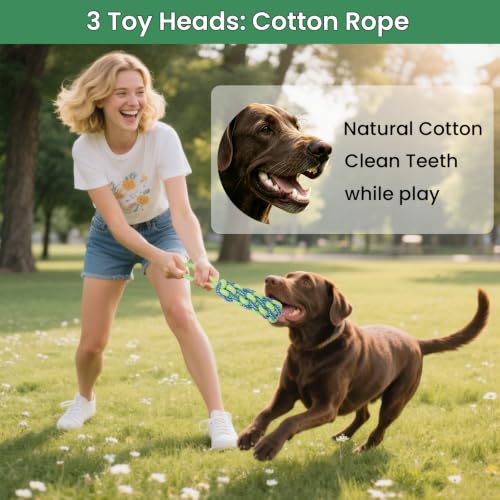 Dog Door Bungee Tug Toy, 4 Pieces, Small Medium Dogs 20 to 50lbs