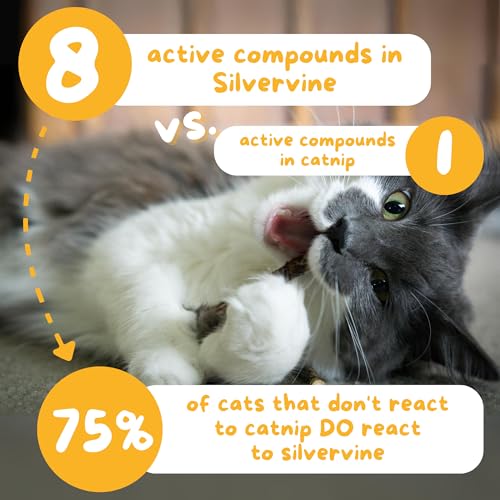 Hide & Scratch Silvervine Catnip Balls 3 Pack Hand Woven Cat Chew Toys - style: Sticks (3 Pack)