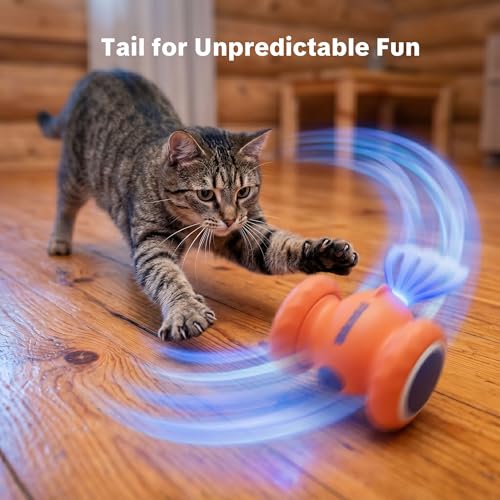 Interactive Cat Toys, Puppy Dog Toys - color: Orange