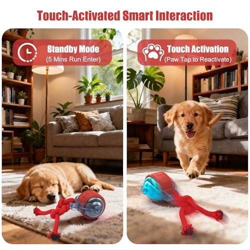 Interactive Dog Toys, Smart Automatic Moving Dog Ball with Rope, Rechargeable Motion Activated Rolling Dog Toy for Small Large Dogs Aggressive chewers to Keep Them Busy