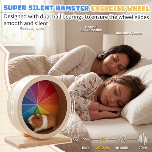 Geelin 12 Inch Hamster Wooden Silent Wheel, Rainbow Printed Small Animal Exercise Wheel, Quiet Spinner Hamster Running Wheels Toys for Hamsters, Gerbils, Mice and Other Small Pets - size: Large