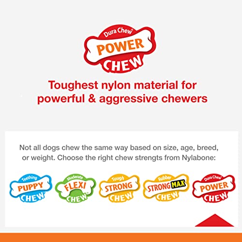 Nylabone Power Chew Ring Dog Chew Toy, Original Flavor, Large