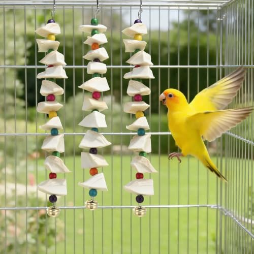 Bird Toys with Cuttlebone, Grinding Stone for Bird, 3 Pcs