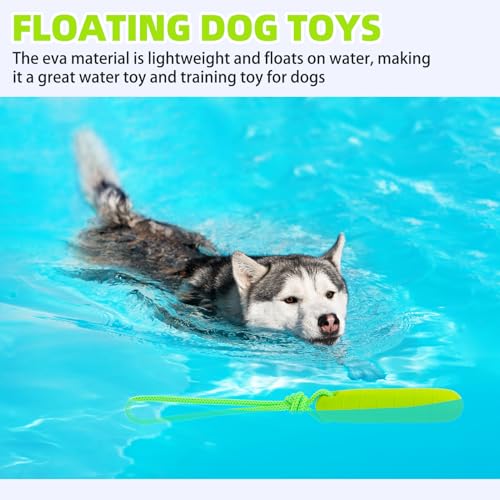 PUPTECK Interactive Dog Pool Toys Water Floating Toys Fetch Training Bumpers 2 Pack, Blue & Green - color: Blue & Green