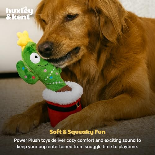 Huxley & Kent Seek 'n Treat Puzzle Dog Toy, Prickly & Bright Pawt - color: Prickly & Bright Pawt, size: One Size