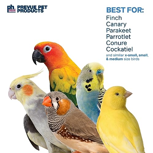 Prevue Pet Products 3-Box Stuff & Hide Playfuls Bird Toy