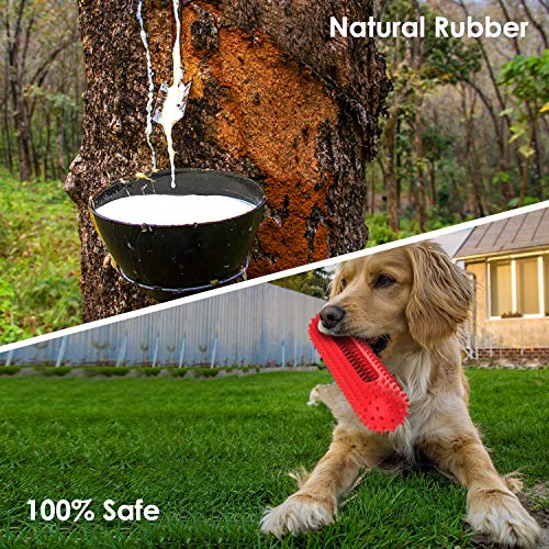 petizer Dog Squeaky Toy for Aggressive Chewers, Tough Toothbrush Dental Dog Chew Toy, Durable Rubber Toy for Pet Training, Dog Teeth Cleaning, Playing and Chewing for Medium & Large Breeds