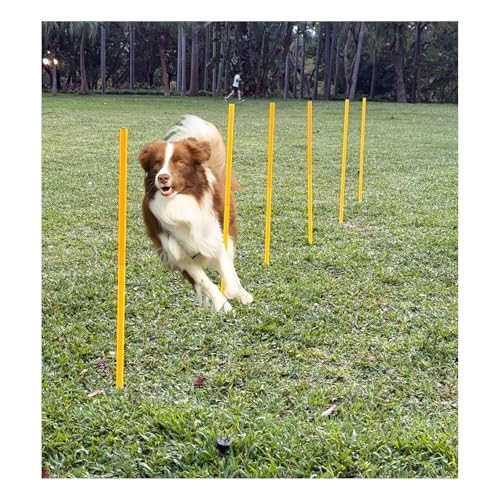 Dog Agility Equipment, Agility Poles, Dog Jumps, Outdoor Obstacle Course with 6 Weave Poles and Adjustable Jump Bar, Partial Gift Conversion Buckle (Blind Box) Yellow