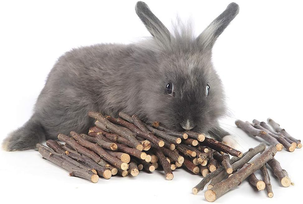 William Craft Apple Sticks Pet Chew Toy Treats for Chinchilla Guinea Pigs Rabbits Squirrel Hamster Bunny (Pack of 2) - size: 1.10 Pound (Pack of 2)