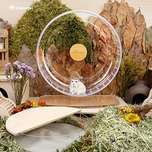 Niteangel Super-Silent Hamster Exercise Wheel: Quiet 12.8" Running Wheel - color: Transparent, size: Extra Large