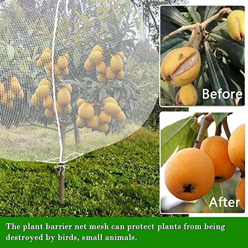 FONUNO Fruit Tree Netting with Zipper Birds Netting for Fruit Trees, White - color: White, size: 10 x 13 feet - 1 Pack