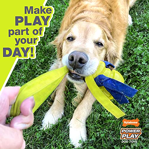 Nylabone Power Play Basketball Gripz Dog Play Toy, Large - size: Large