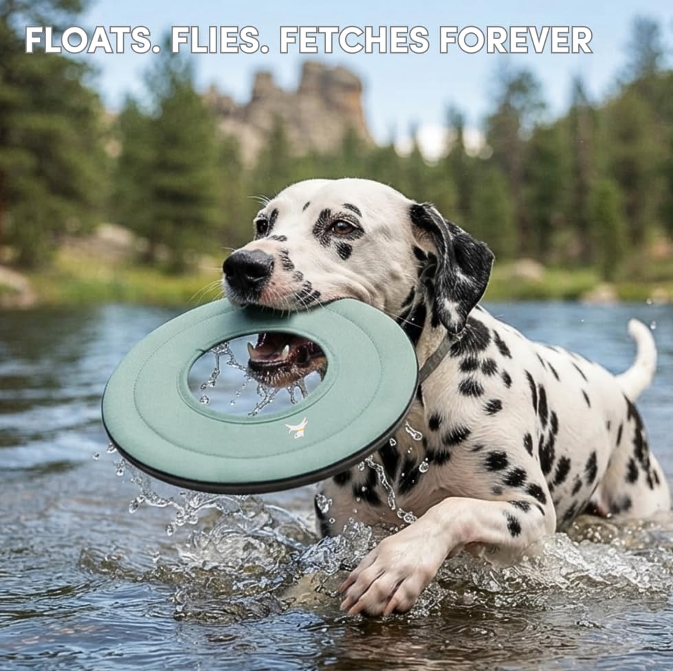 OllyDog Mini Super Flyer, Dog Flying Disc – Floating Fetch Toy, Soft on Teeth, Eco-Friendly Recycled Material, Lightweight, for Small & Medium Dogs (Surf, 9") - color: Surf