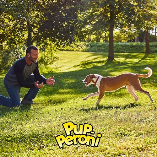 Pup-Peroni Prime Rib Flavor Dog Treats, Bag 1.41 Pound (Pack of 4) - size: 1.41 Pound (Pack of 4)