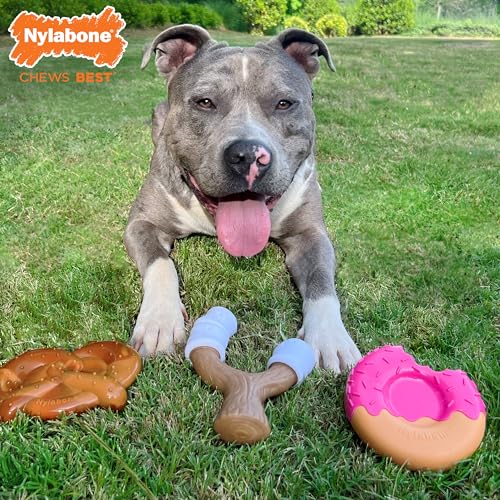 Nylabone Strong Chew Cute Dog Toy Bundle, Large, 3 Count - color: Donut, size: Large (Pack of 3)