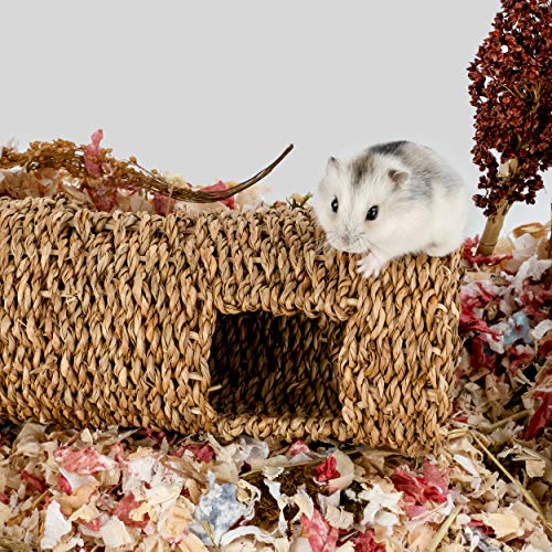 Niteangel Creative & Composable Hamster Tunnel: Edible Seagrass & DIY Tube - size: HC