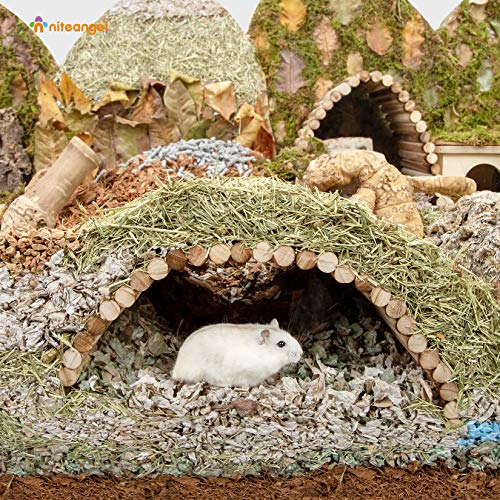 Niteangel Small Animal Climbing Toy: 15.7" x 7.8" Bendable & Flexible Shape - size: 15.7'' x 7.8''