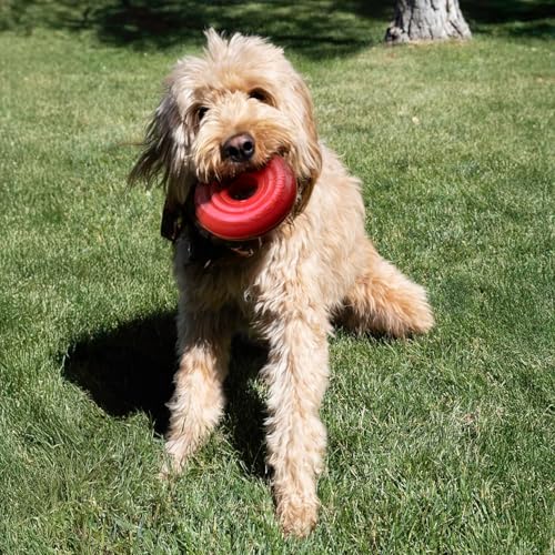 KONG Donut Dog Toy, Natural Rubber Chew Toy, for Large/X-Large Dogs - size: (Large/X-Large)
