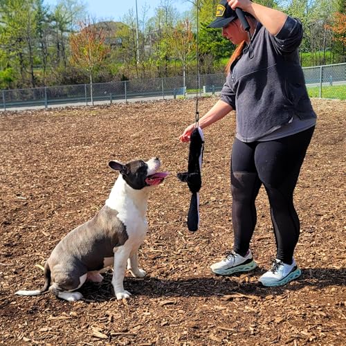 Flirt Pole For Dogs- Extendable Heavy Duty Flirt Pole For Dogs- Interactive Dog Training Toy w/ Interchangeable Lures & Instructional Guide- Engaging Heavy Duty Dog Toy- Flirt Pole For Large Pups