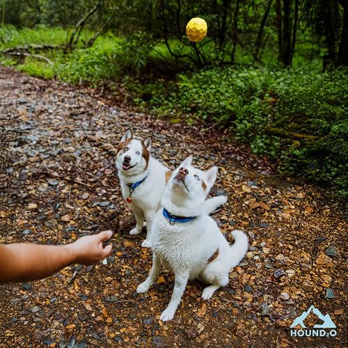 Squeaky Fetch Ball - Floating Outdoor Dog Toy - 3-Pack - color: 3-Pack