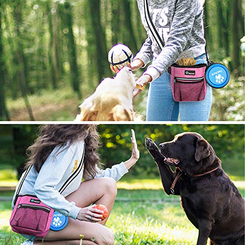 PetAmi Hands Free Dog Treat Pouch for Training and Walking, Pink - color: Heather Pink