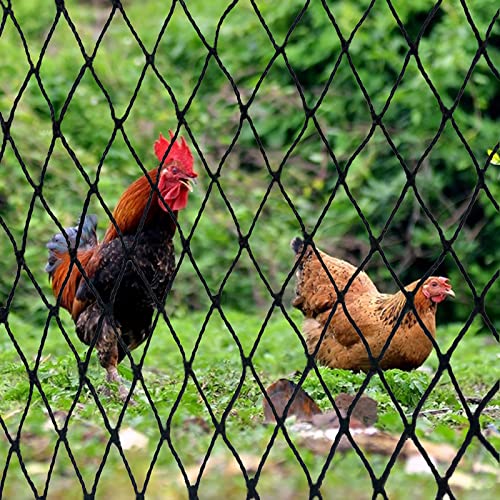 DQS Bird Netting for Garden 25x100ft, 2.4" Square Mesh Heavy Duty Nylon Net - size: 2.4", 25' x100'