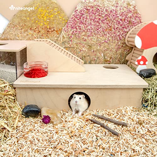 Niteangel Multi-Chamber Hamster House Maze: 2 Entrance 6 Rooms Maze Habitat - size: 6-Room Small
