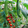 Trellis Netting, PDGROW Climbing Plant Support Net Garden Pea Bean Neting, Heavy-Duty PE Trellis Net for Cucumber, Tomato, Vegetables, Fruits, Sweet Pea Plants (6.6' x 16.4'Ft) - size: 6.6' x 16.4'