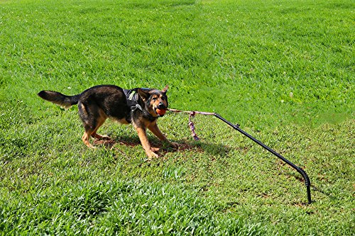 Dog Retractable Interactive Training Tug Toy - Pet Obedience Training Tug - Stable Exercise Metal Pole & Spring Rod with Replaceable Chew Rope for Small/Medium/Large Dogs