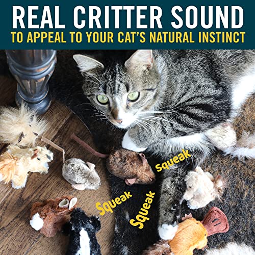 OurPets Play-N-Squeak Mouse Hunter Cat Toys with Catnip - style: Mouse Hunter (Pack of 1)