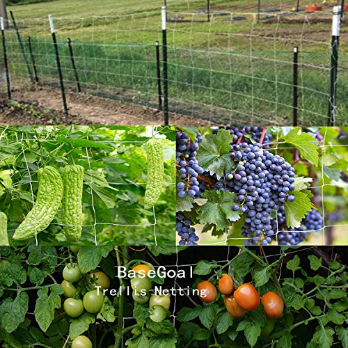 BaseGoal 3.5in Mesh Trellis Netting, 5x60ft, 1 Pack - size: 3.5" Mesh (5'X60')