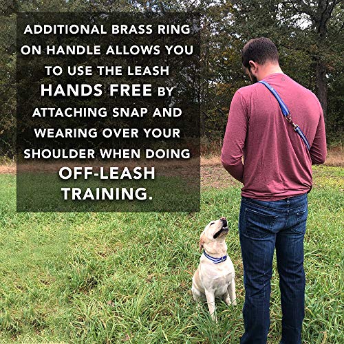 Regal Dog Products Reflective Dog Collar & Leash Set, Metal, Small Yellow - color: Yellow, size: Small Collar & Leash
