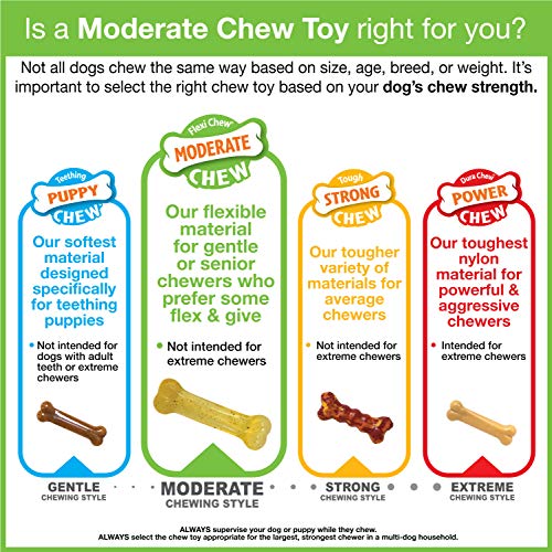 Nylabone Flexi Chew Original Bone & Textured Bone Dog Chew Toys, 2 Count - size: Medium