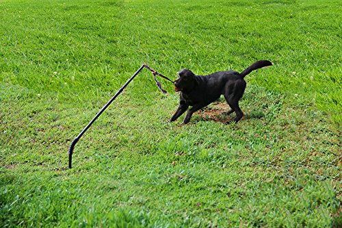 Dog Retractable Interactive Training Tug Toy - Pet Obedience Training Tug - Stable Exercise Metal Pole & Spring Rod with Replaceable Chew Rope for Small/Medium/Large Dogs