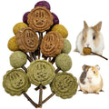 Fhiny Rabbit Chew Toys, 15 PCS Natural Bunny Lollipop Chew Sticks Handmade Guinea Pig Molar Treats for Teeth Small Animals Snacks for Guinea Pig Bunny Chinchilla Hamster Gerbil Teeth Care