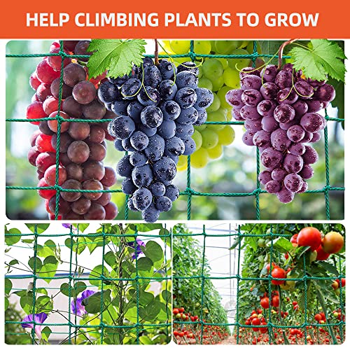 Yahpetes Garden Netting 1Pcs Garden Climbing Net Plant Trellis Plant net trelli Green Strong Nylon Ft Netting Heavy Duty Net Support for Climbing&Vining Plants (6'X3') - color: 6'x3'