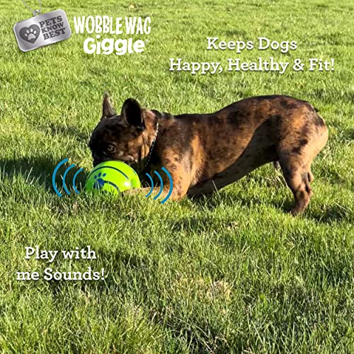 Wobble Wag Giggle Ball 2 Pack- Interactive Dog Toy, Fun Giggle Sounds When Rolled or Shaken, Pets Know Best, 1 Original & 1 Glow in The Dark Ball - style: 2 Pack- Original & Glow