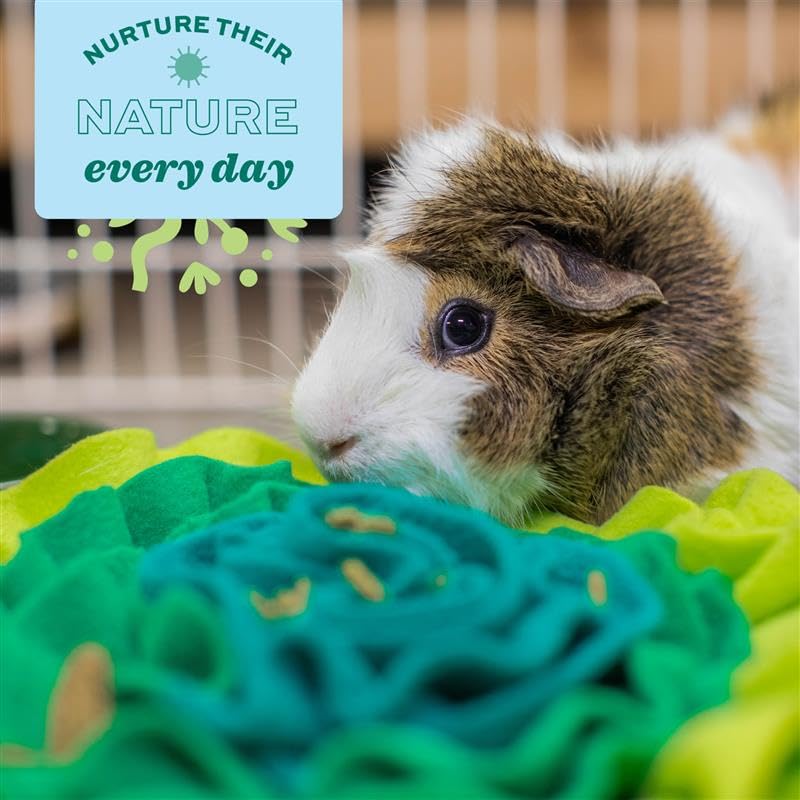 Oxbow Lettuce Forage Mat for Rabbits & Guinea Pigs, Enriching Food Puzzle