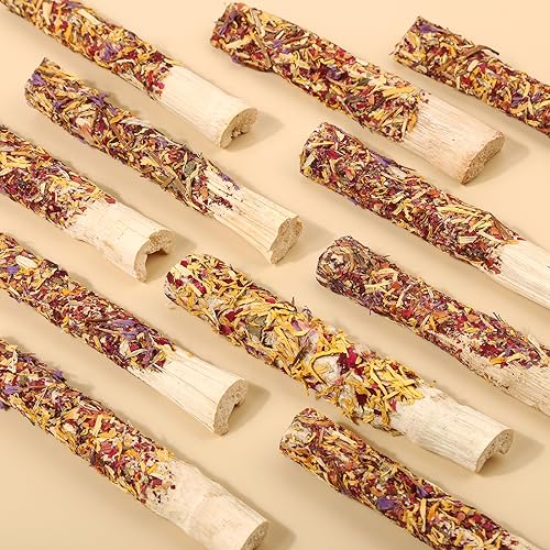 Abizoo Natural Rabbit Chew Toys, Sweet Bamboo, 10 Sticks