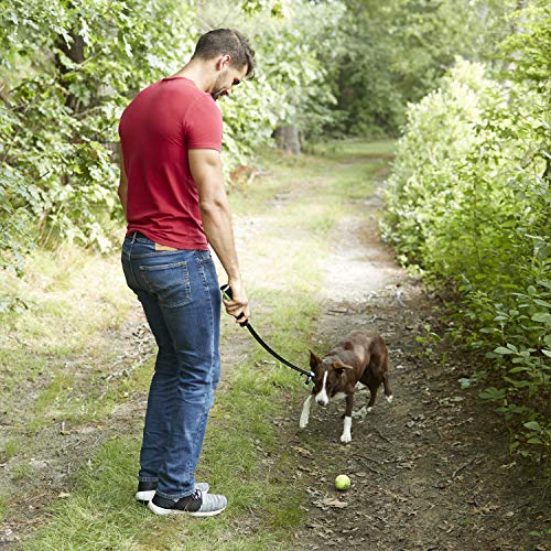 Franklin Pet Supply FETCH-IT LAUNCHER Tennis Ball Thrower - style: 2.5" Ball