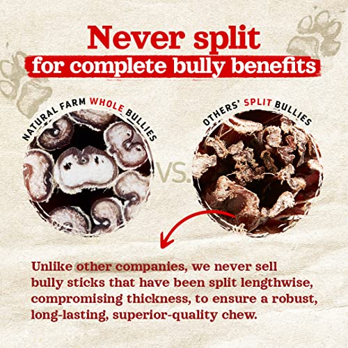 Natural Farm Odor-Free Select Bully Sticks, (12-Inch, 1-Pound), Hand Selected for Consistent Thickness, 100% Beef Pizzle Dog Chews, Fully Digestible, High Protein, Best Dental Treats - size: 12" Select - 1 Pound