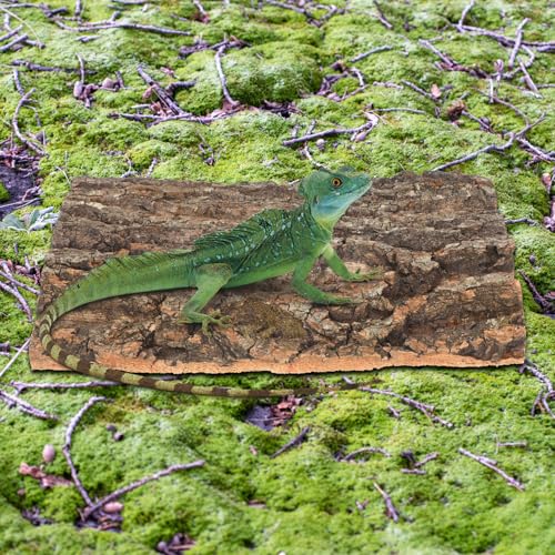 Toyvian Terrarium Tree Bark Reptile Platform 2 Pack Natural Cork Bark Habitat Decor for Climbing Basking Resting Bearded Dragons Lizards Turtles Small Pets